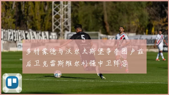 多特蒙德与沃尔夫斯堡争夺图卢兹后卫克雷斯维尔补强中卫阵容